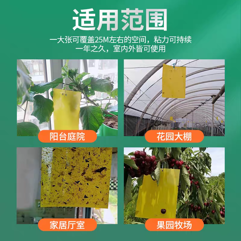针锋果实蝇粘虫板诱虫板除各种小飞虫害虫果树大棚种植防虫贴