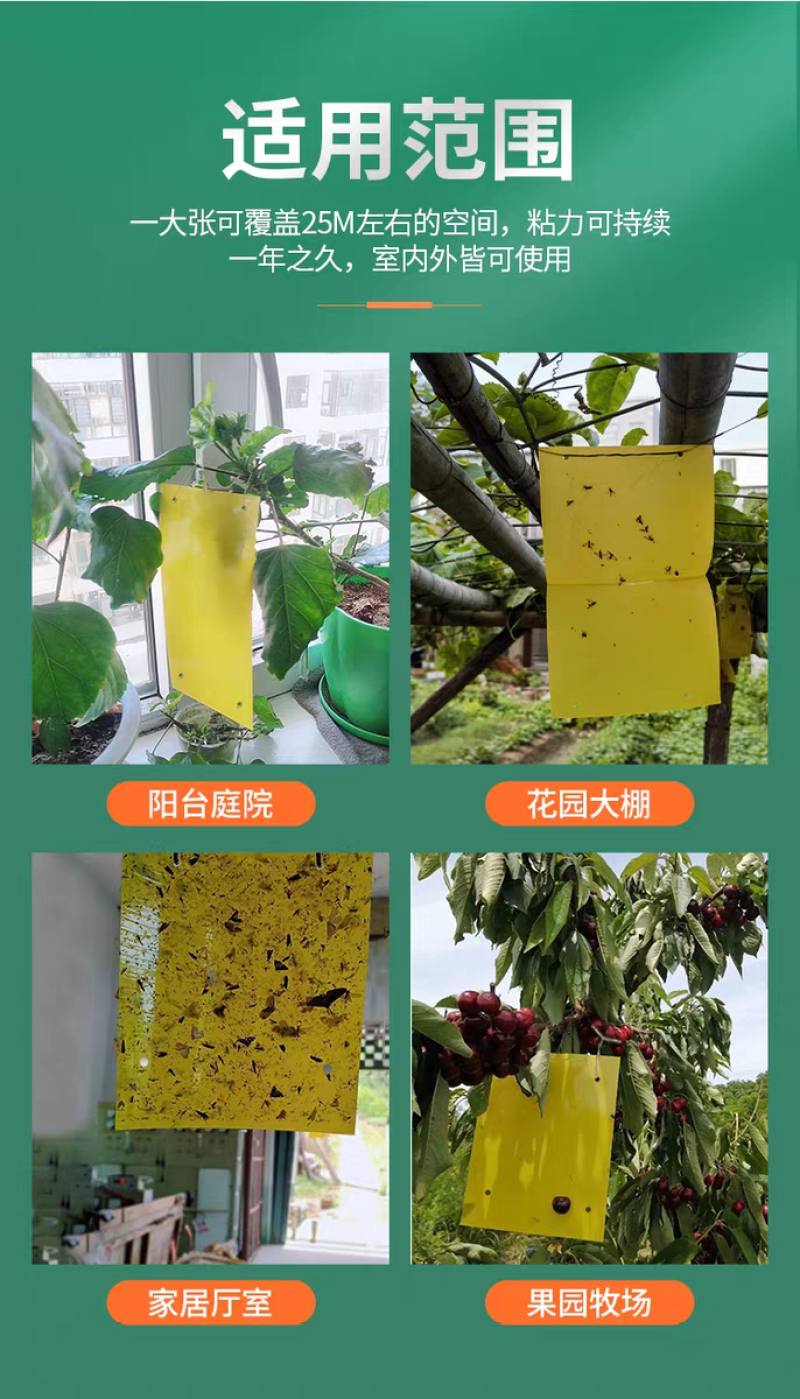针锋果实蝇粘虫板诱虫板除各种小飞虫害虫果树大棚种植防虫贴