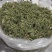 夏至草货源充足量大从优质量保证欢迎咨询