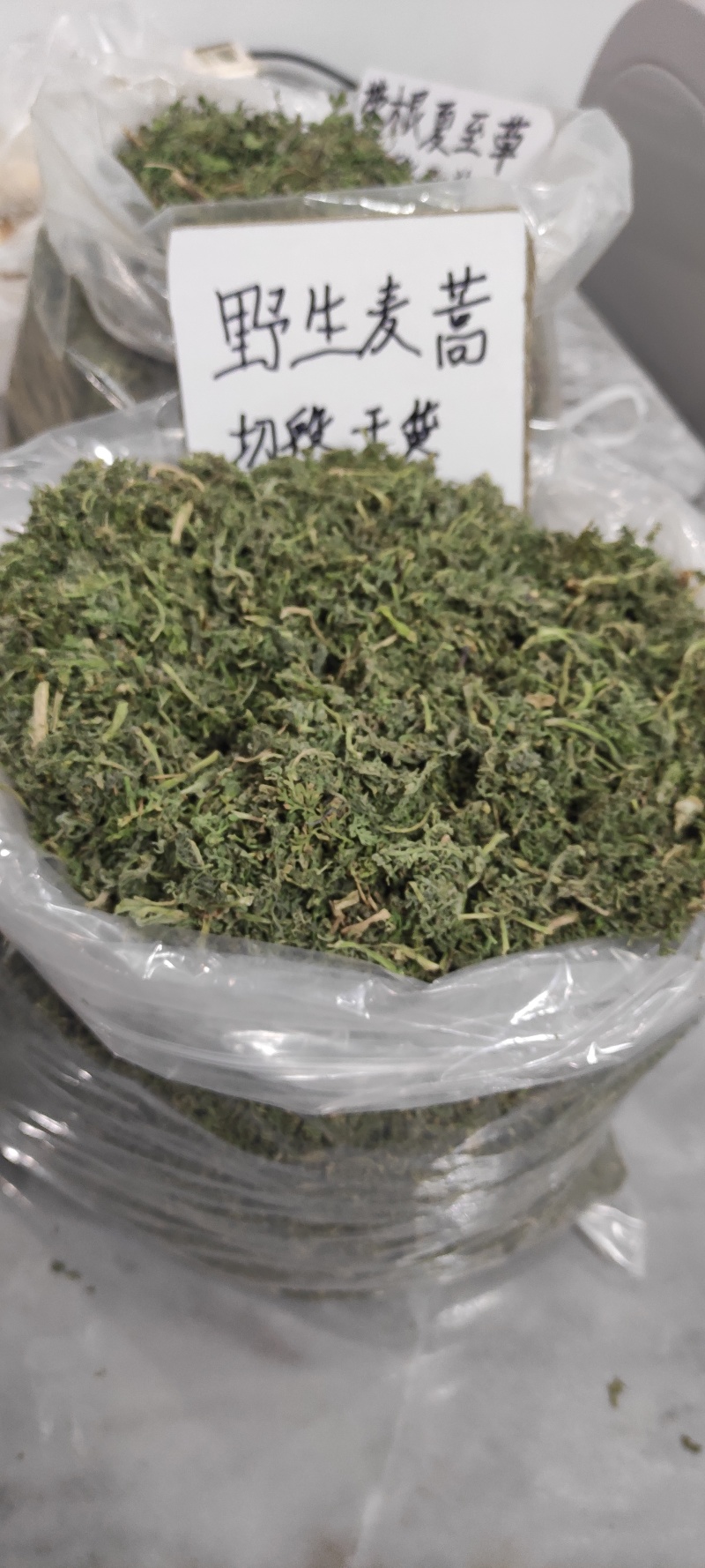 夏至草货源充足量大从优质量保证欢迎咨询