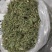 夏至草货源充足量大从优质量保证欢迎咨询