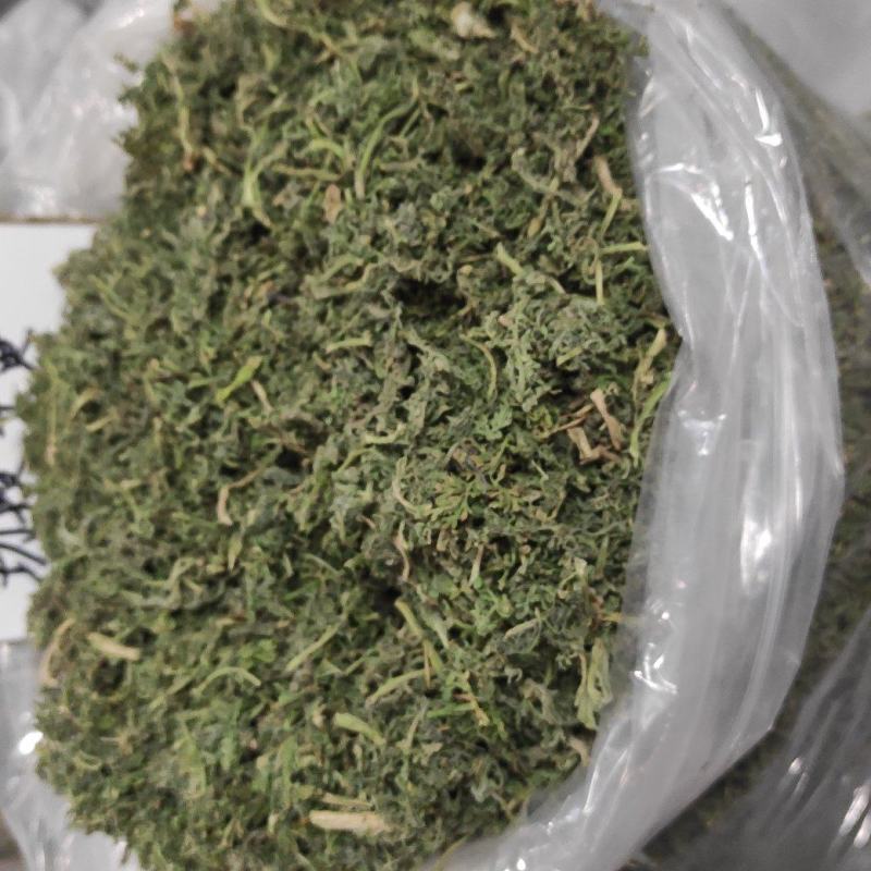 夏至草货源充足量大从优质量保证欢迎咨询