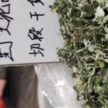 泥胡菜