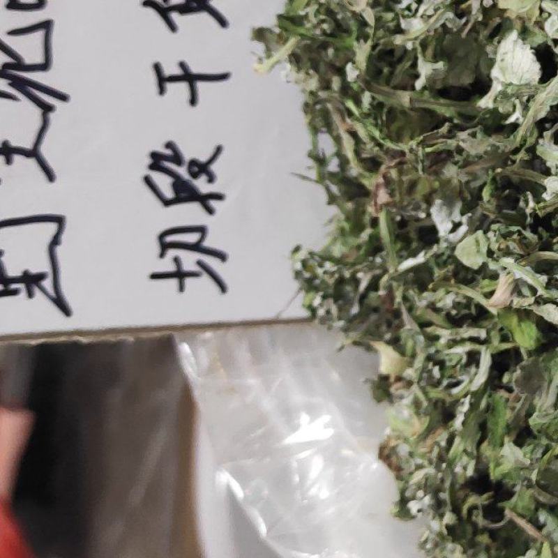 泥胡菜
