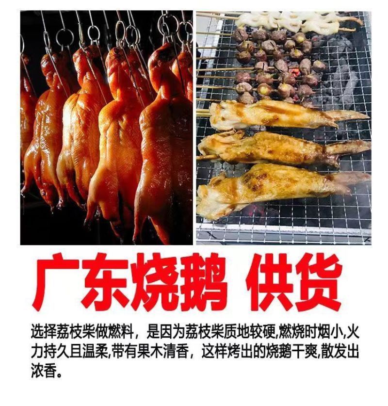 烧烤室内耐烧户外无烟取暖荔枝果木炭专用烧煮茶高温易燃家用