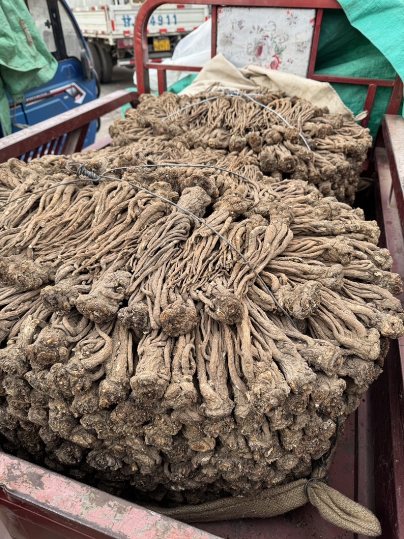 正宗甘肃岷县精品无硫当归原条