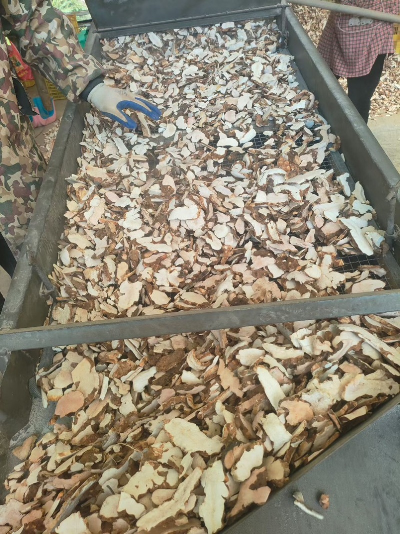 粉质土茯苓/产地直销/加工基地/一手货源/全国发货