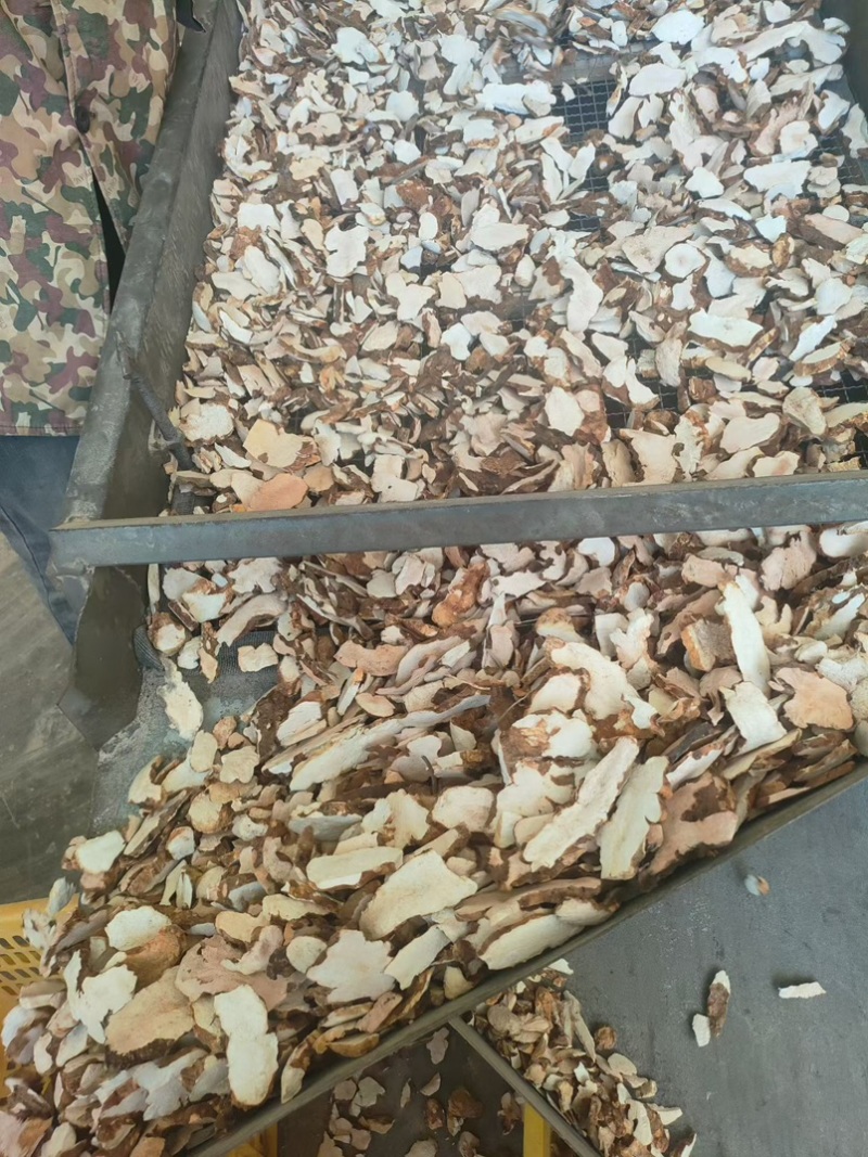 粉质土茯苓/产地直销/加工基地/一手货源/全国发货