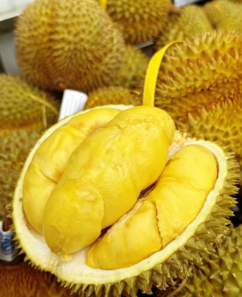 金枕榴莲一手批发价格