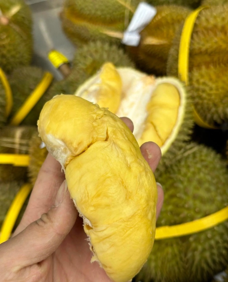 金枕榴莲一手批发价格