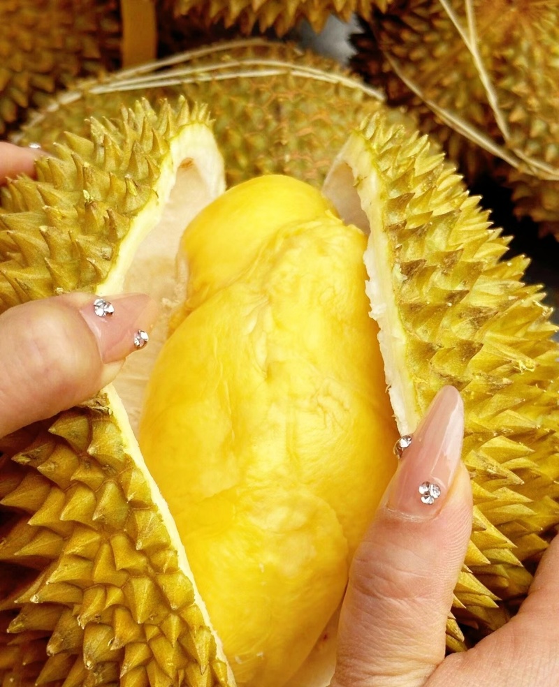 金枕榴莲一手批发价格
