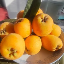 批把
