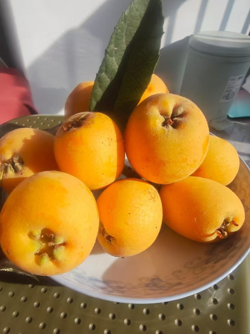 批把
