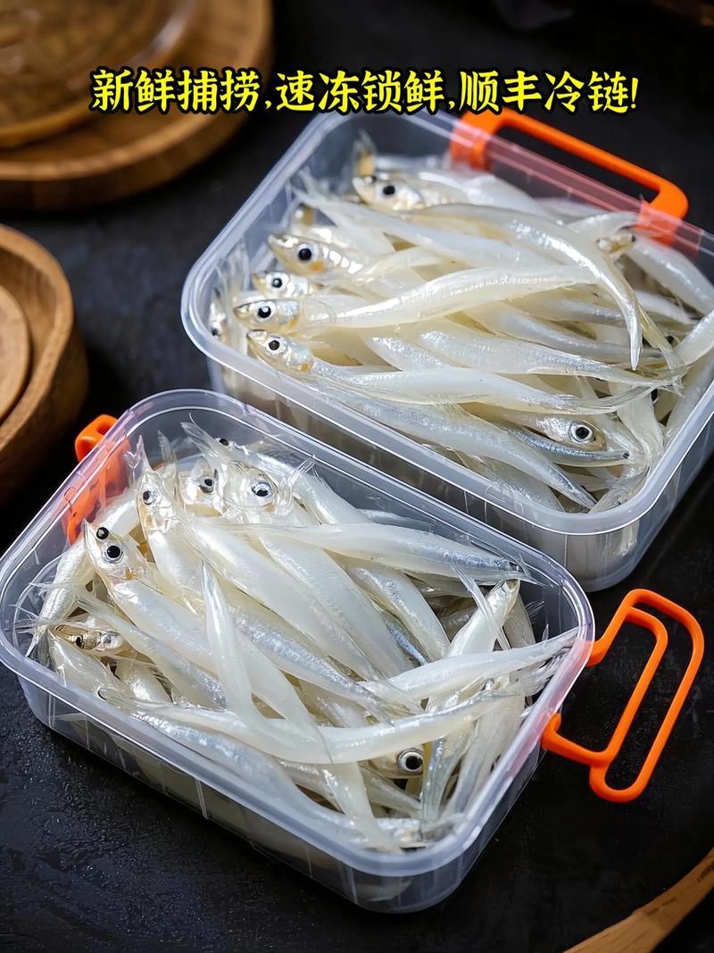 苏州新鲜小银鱼淡水银鱼湖鲜细嫩无刺无鳞高营养生鲜适合宝宝
