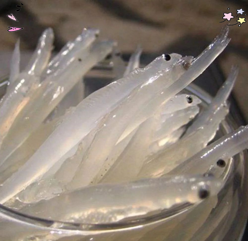 苏州新鲜小银鱼淡水银鱼湖鲜细嫩无刺无鳞高营养生鲜适合宝宝