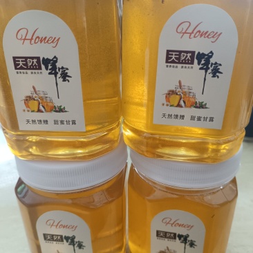 自己养的蜂，打出来天然蜂蜜