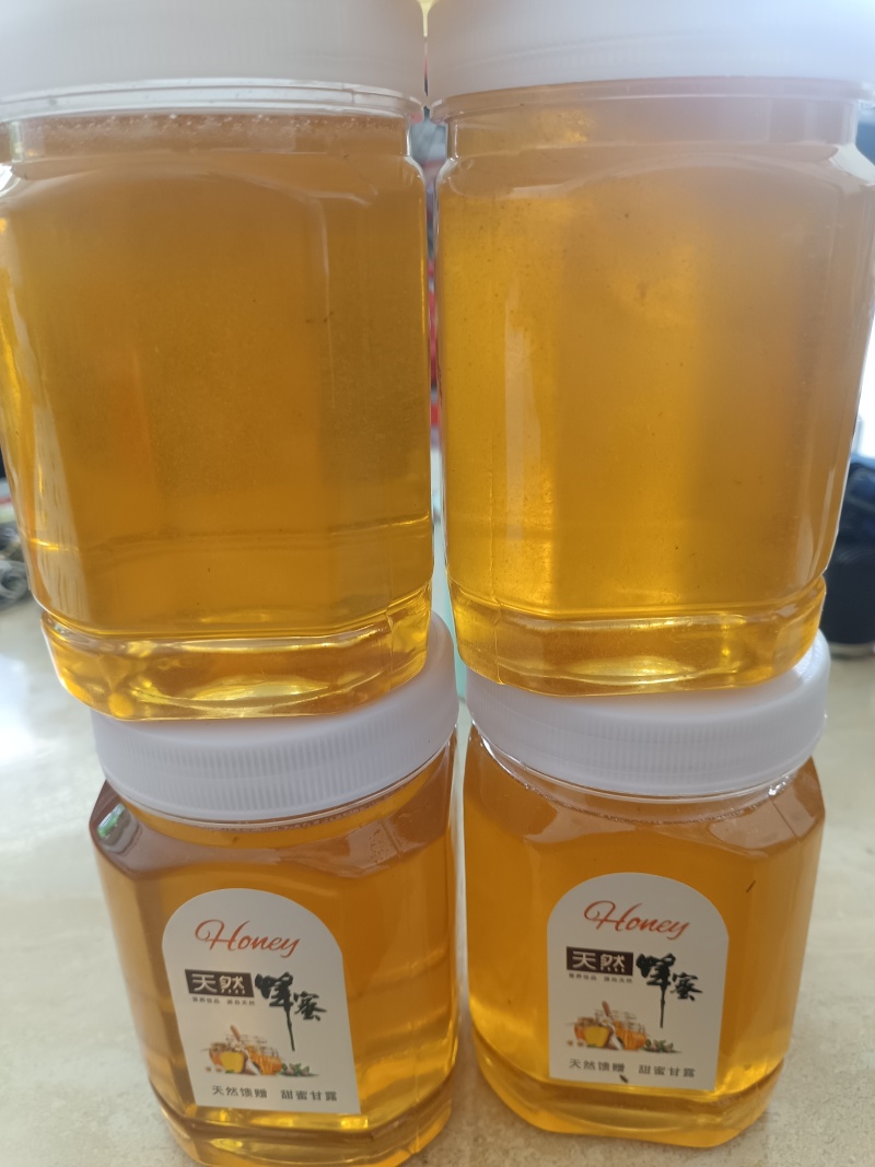 自己养的蜂，打出来天然蜂蜜