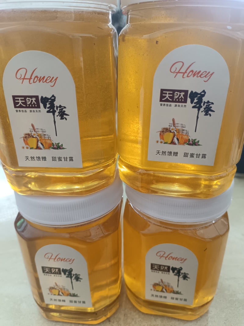 自己养的蜂，打出来天然蜂蜜