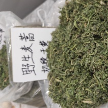 麦蒿货源充足量大从优质量诚信经营保证欢迎咨询