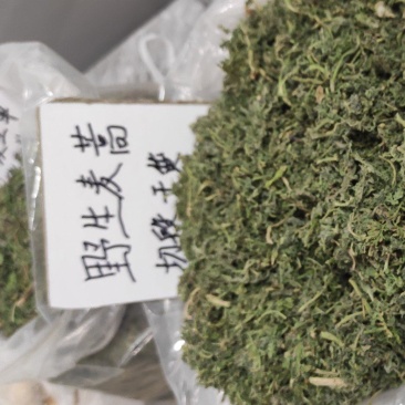 麦蒿货源充足量大从优质量诚信经营保证欢迎咨询