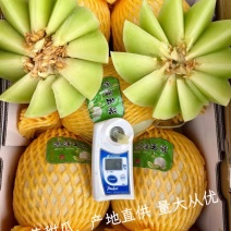 玉菇奶香蜜甜瓜产地直供专业对接市场商超平台
