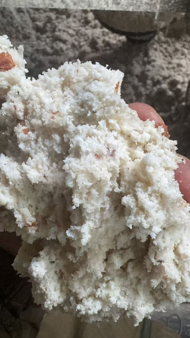 发酵豆渣