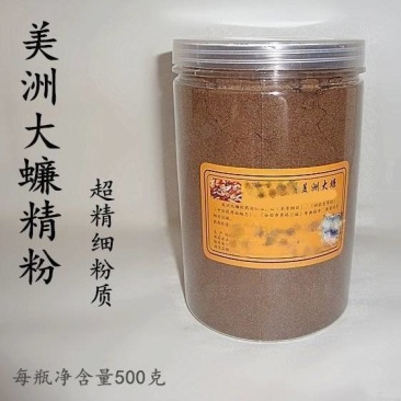 美洲大蠊原生态精粉，超微研磨精粉，正品源头