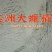 美洲大蠊原生态精粉，超微研磨精粉，正品源头