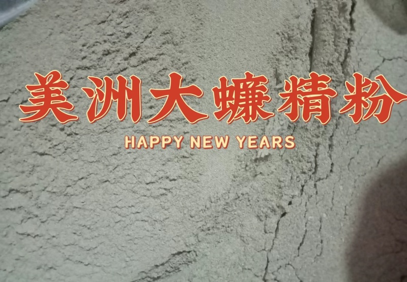 美洲大蠊原生态精粉，超微研磨精粉，正品源头