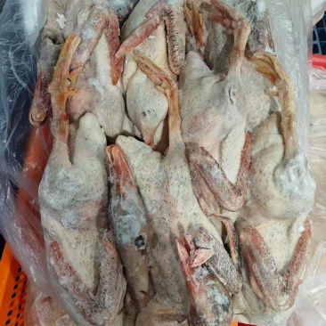 二级麻鸭单只4斤左右60吨