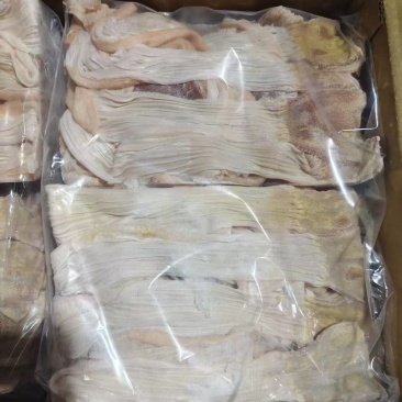 红嘴雁食管5吨
