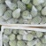 珍珠白心芭乐番石榴产地直销，一手货源价格美丽