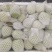 珍珠白心芭乐番石榴产地直发一手货源