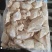 鸡大胸单冻