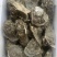 湛江北潭生蚝统货（2两以上产地直销一手图加我
