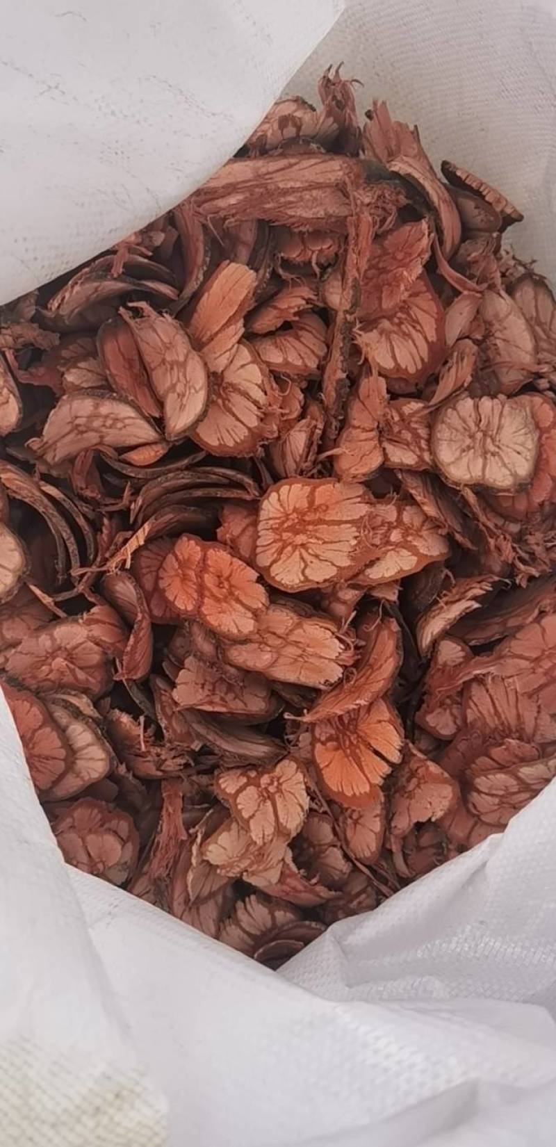 龙须藤，梅花入骨丹