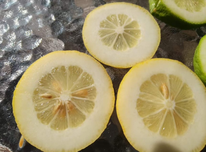 红河柠檬