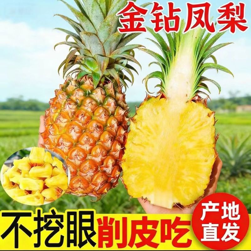 云南金钻凤梨，承接电商一件代发，售后极低，产地直发