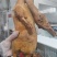 【卤鸭】