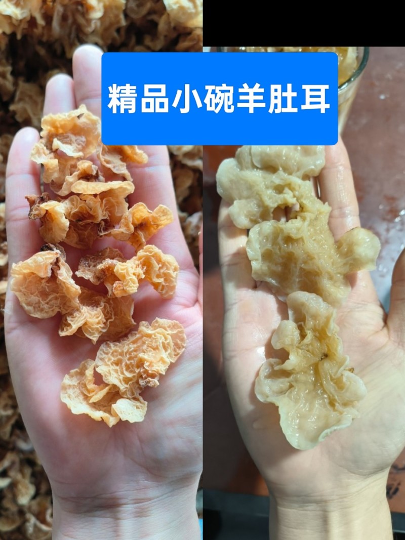 羊肚耳