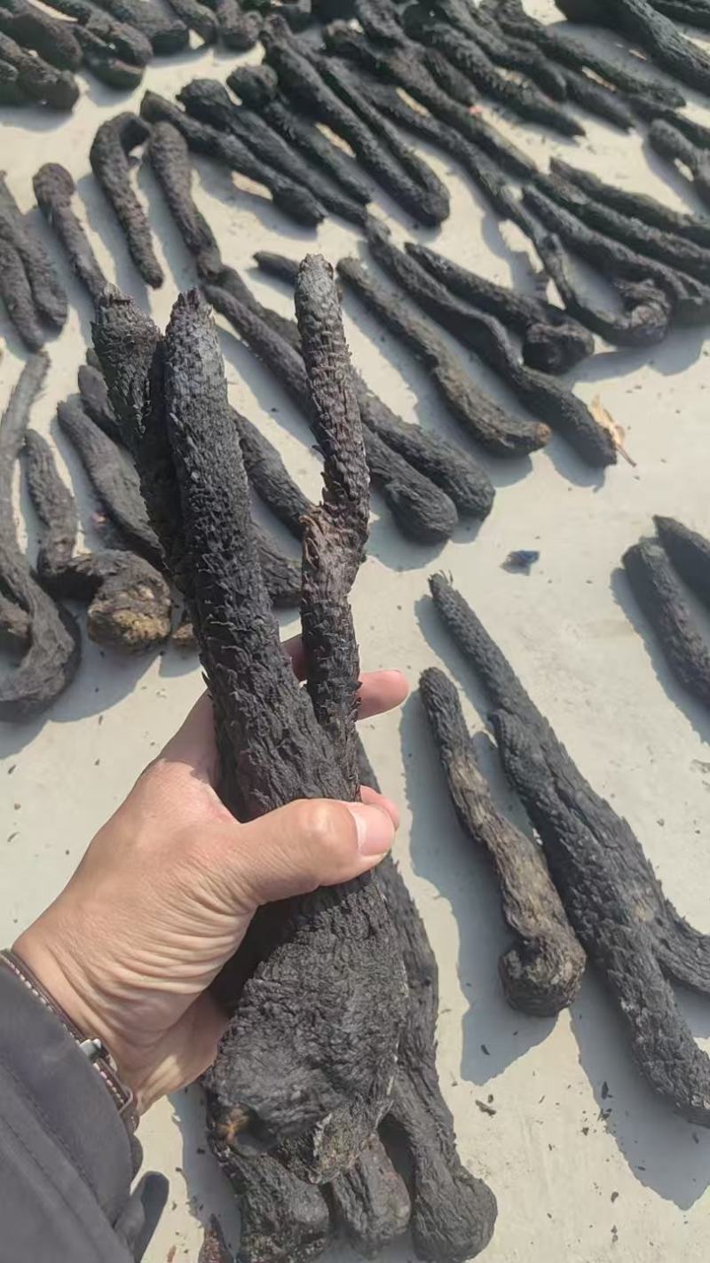 肉苁蓉黑软大芸，全国发货，全国包邮。源厂直发，可提供检测