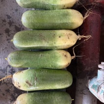 清库水果萝卜
