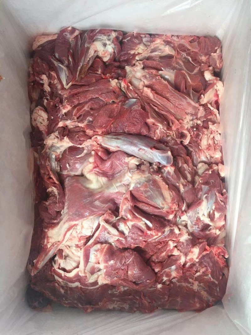 鲜冻羊肉！羊前后腿分割肉最新日期，现货天天分割适合烧