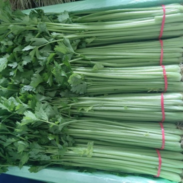 聊城精品山芹，货源充足，质量保证，按需包装，欢迎选购！