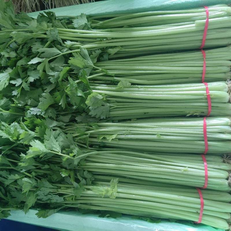 聊城精品山芹，货源充足，质量保证，按需包装，欢迎选购！