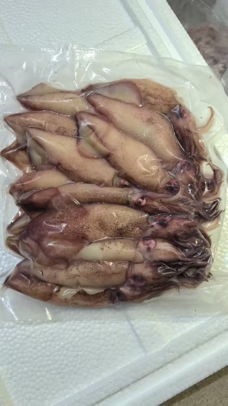 《官方推荐》鲜熟海兔，高品质，可供商超，市场，餐饮，电商