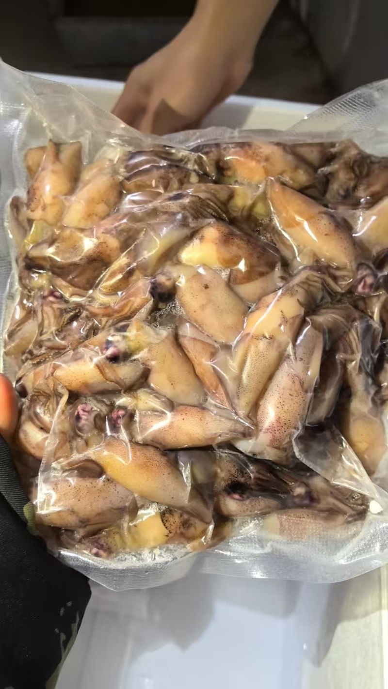《官方推荐》鲜熟海兔，高品质，可供商超，市场，餐饮，电商