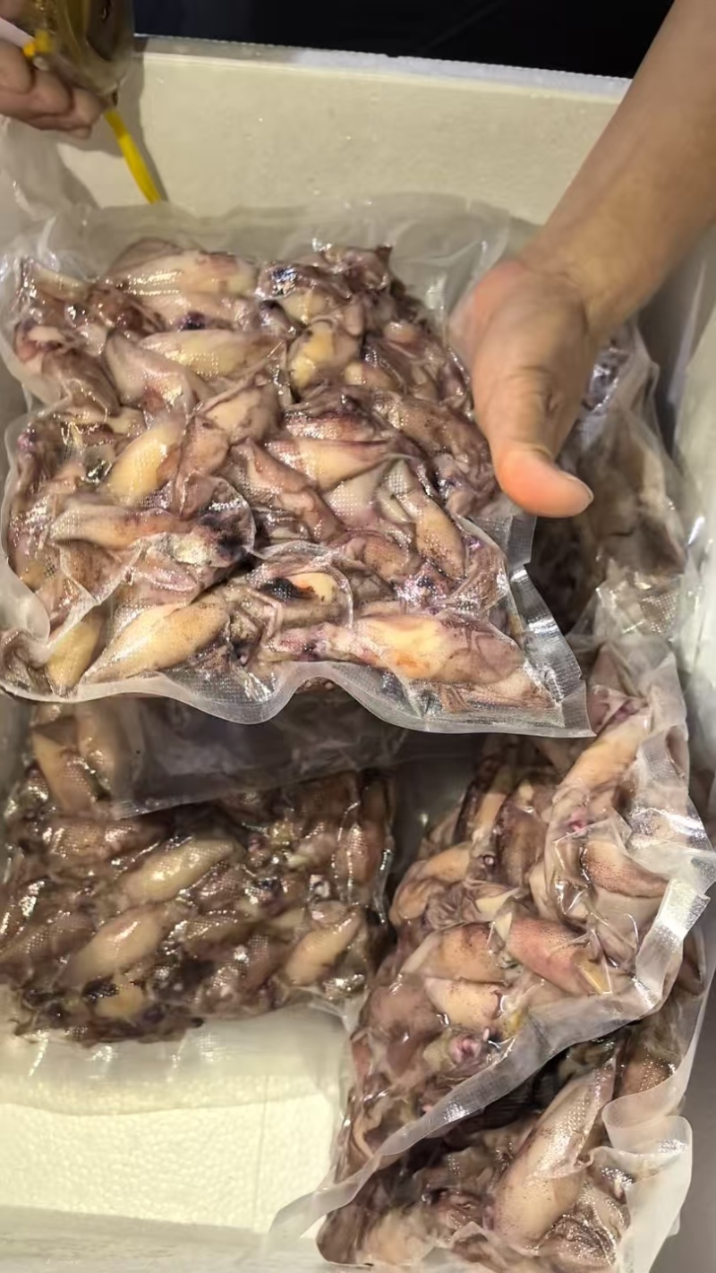 《官方推荐》鲜熟海兔，高品质，可供商超，市场，餐饮，电商