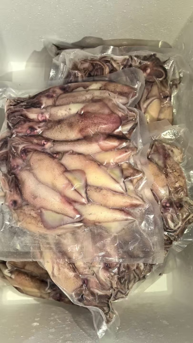 《官方推荐》鲜熟海兔，高品质，可供商超，市场，餐饮，电商
