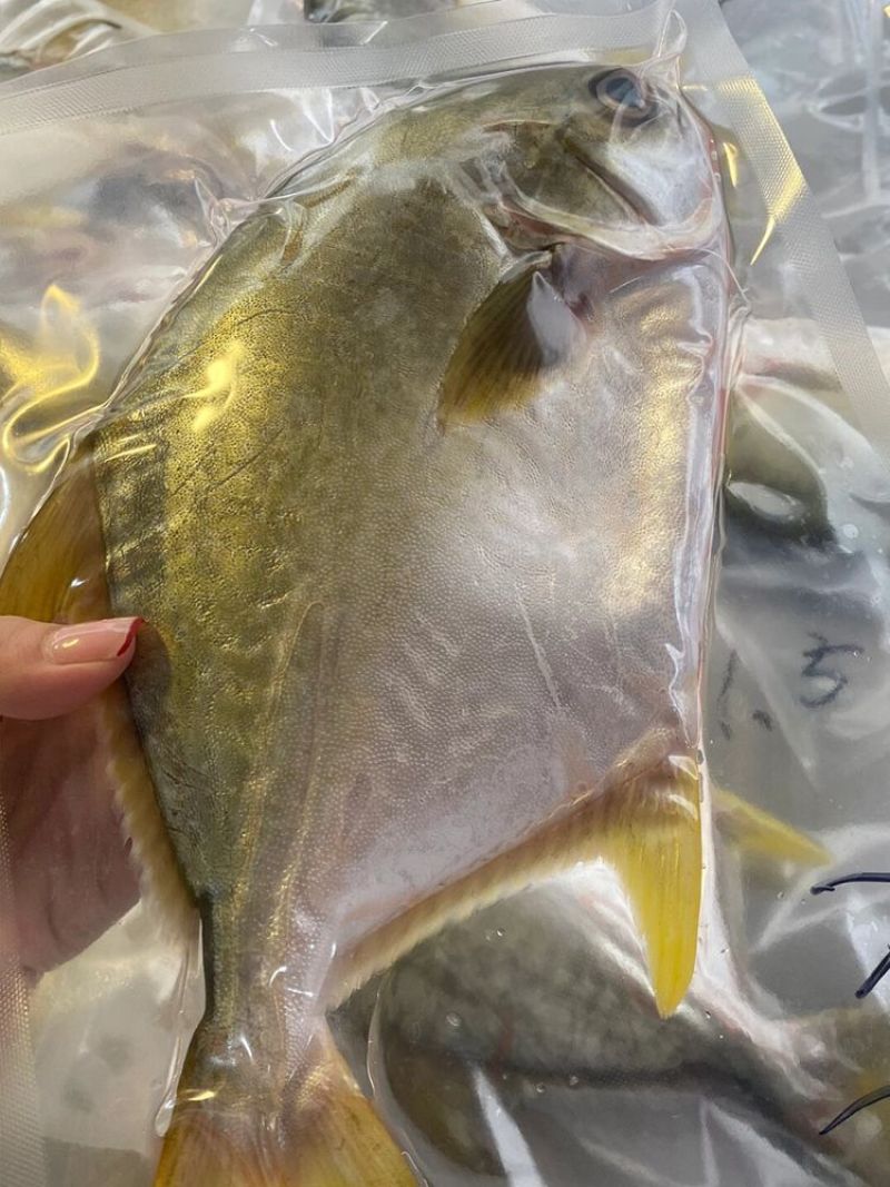 金昌鱼干，加工食品，麻辣鲜香，大量供应商超，市场，电商。